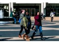 Color Photographs Of NYC Locations- Lincoln Center And Columbus Circle
