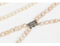 Lot Of Pretty Beaded Necklaces Including Cultured Pearl Strands