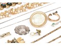Lot Of Assorted Costume Jewelry Pieces