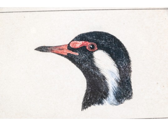 Anglo-Indian School Watercolor On Paper, Circa 1875