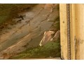 Signed Oil On Board, Figural Landscape Scene 
