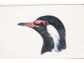 Anglo-Indian School Watercolor On Paper, Circa 1875