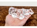 French, Baccarat Crystal Tiger