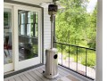 Hampton Bay Propane Powered Outdoor Patio Heater With Propane Tank