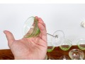 Set Of Seven Vintage Vaseline Green Glass Coupes