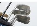 Golf Bag With Assorted Clubs