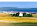 Signed Italian Oil Paintings Pastoral Landscapes