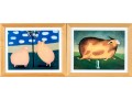 Roger Stark (American, 20th C.) Four Signed Prints Depicting Pigs