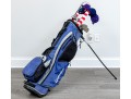 Taylor Made Golf Bag With Assorted Clubs