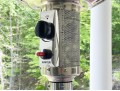 Hampton Bay Propane Powered Outdoor Patio Heater With Propane Tank