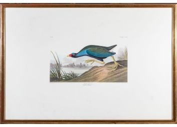 Black Rock Galleries