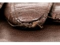 Coach Handsome Brown Leather And Silk Gloves, Size 7 1/2