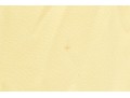 Modelo Giulietta Fabulous Short Sleeve Bedazzled Yellow Maxi Dress, Size 44