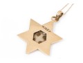 Delicate 10K Chain Displays 14K Star Pendant Necklace