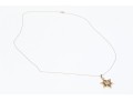Delicate 10K Chain Displays 14K Star Pendant Necklace
