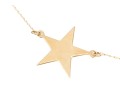 14K Delicate Star Pendant Necklace