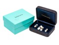 Tiffany & Co. Handsome Sterling Silver And Mother-of-pearl Cufflinks, Boxed
