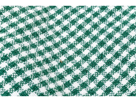 Ralph Lauren 100% Cotton Throw Blanket