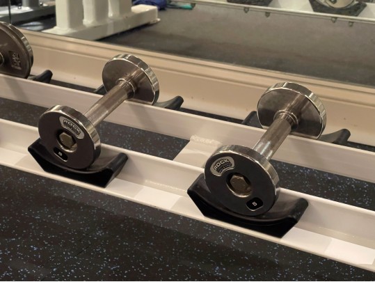 “Rock Barbell And Fitness” Commercial Weight Rack And A Collection Of Free Weights