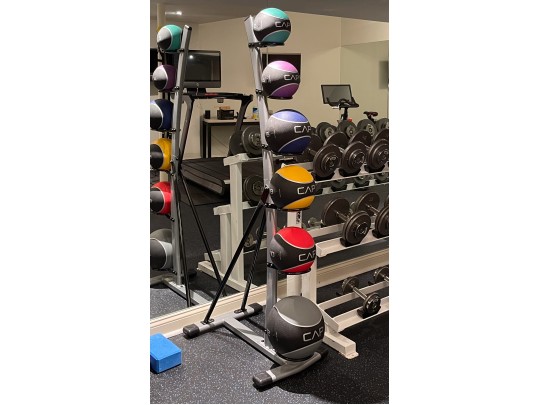 Awesome Medicine Ball Rack, With Six Medicine Balls