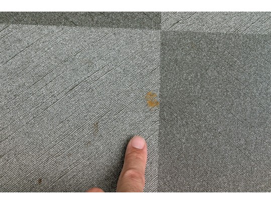 Made Goods Grasscloth Coffee Table (Retail $1,750)