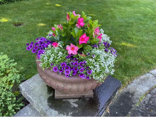 Pair Of Stunning Vintage Cement Planters