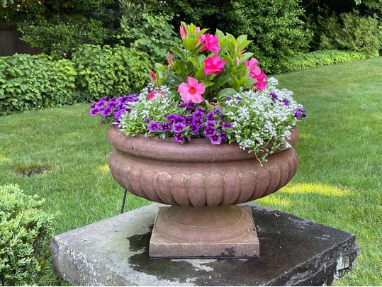 Pair Of Stunning Vintage Cement Planters