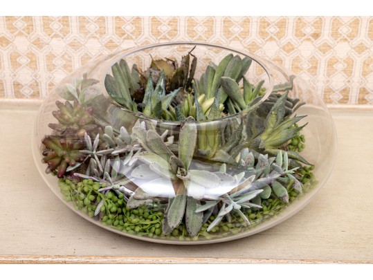 Large Terrarium With Faux Succulents