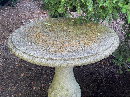 Classic Cement Bird Bath
