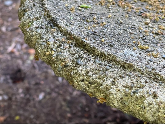 Classic Cement Bird Bath