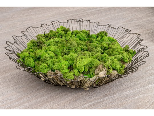 Moss Filled Metal Caged Centerpiece