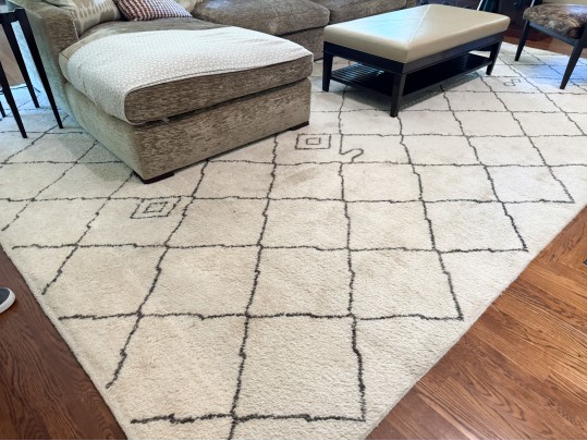 Ben Soleimani For RH Room Size Area Rug