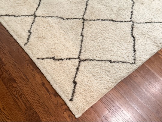 Ben Soleimani For RH Room Size Area Rug