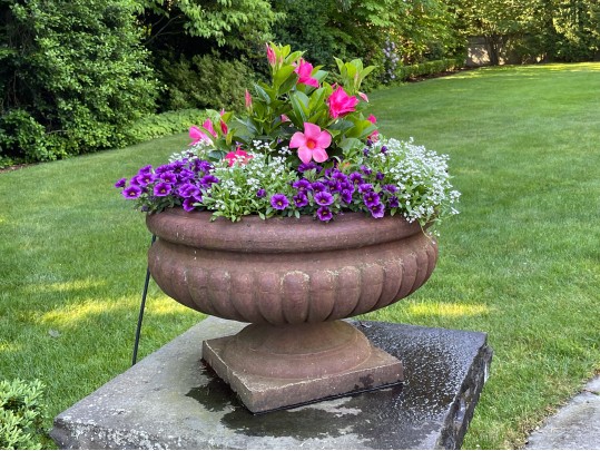 Pair Of Stunning Vintage Cement Planters