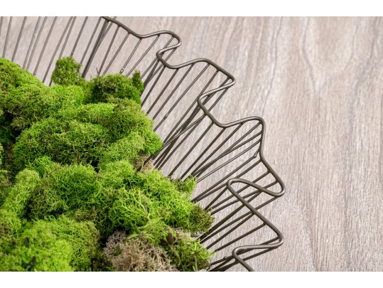 Moss Filled Metal Caged Centerpiece