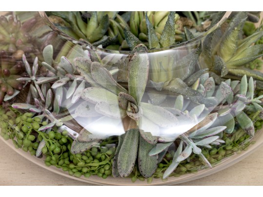 Large Terrarium With Faux Succulents