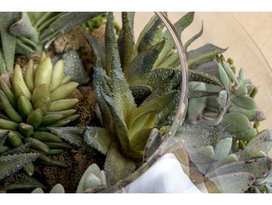 Large Terrarium With Faux Succulents