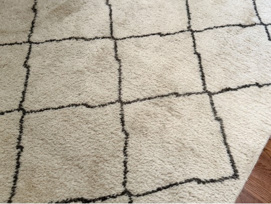 Ben Soleimani For RH Room Size Area Rug