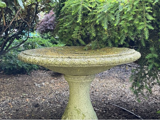 Classic Cement Bird Bath