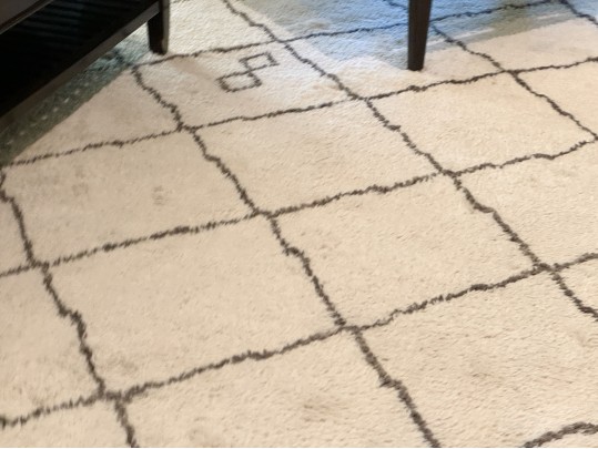 Ben Soleimani For RH Room Size Area Rug