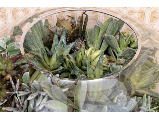 Large Terrarium With Faux Succulents