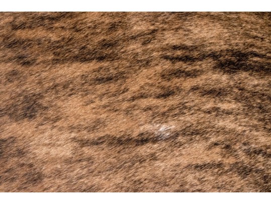 Hair Hide Covered Armchair 