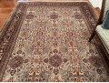 Hand Knotted Rug - Made In India
