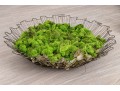 Moss Filled Metal Caged Centerpiece