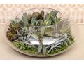 Large Terrarium With Faux Succulents