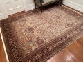 Hand Knotted Rug - Made In India
