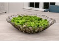 Moss Filled Metal Caged Centerpiece