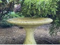 Classic Cement Bird Bath