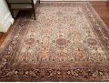 Hand Knotted Rug - Made In India
