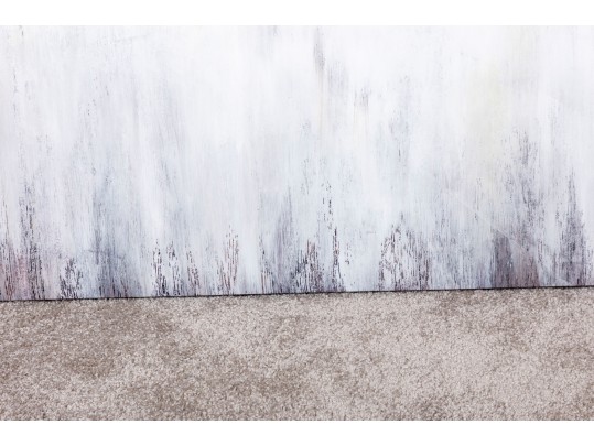 Casa Fine Arts Weathered Barn Canvas Wall Art